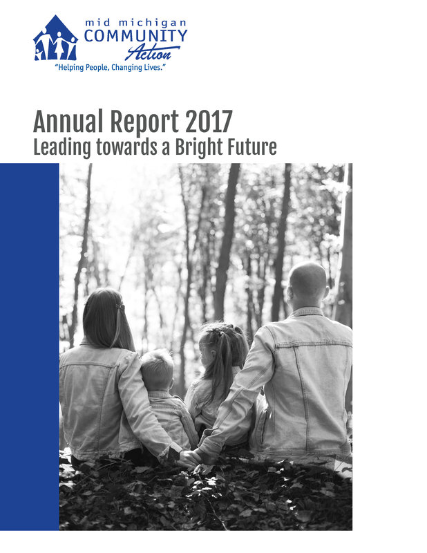 Annual Report 2017 Leading Towards a Bright Future
